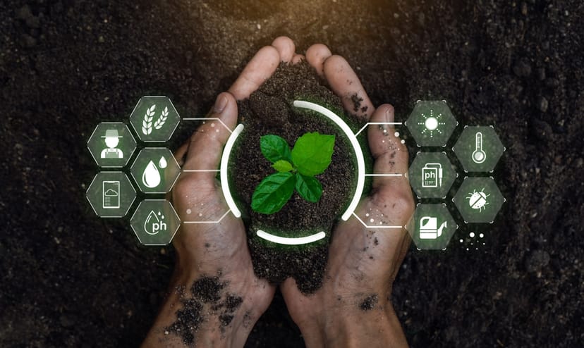Smart Farming - Pflanze wird mit Tablet überwacht